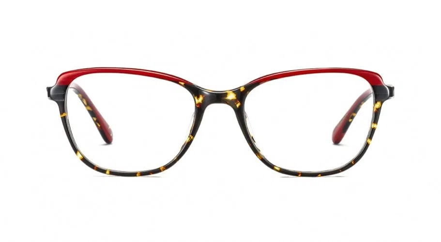 Etnia Barcelona NOTRE DAME P. Eyeglasses - view 14